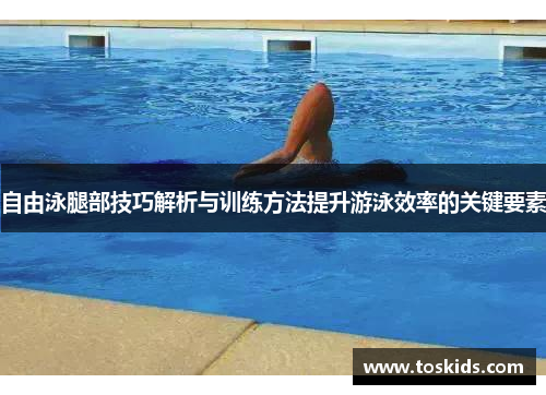 自由泳腿部技巧解析与训练方法提升游泳效率的关键要素